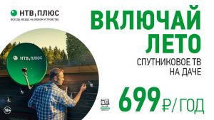 dacha-768x432